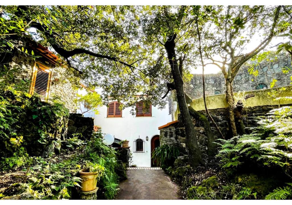 Villa Talia Sweet Rooms B&B