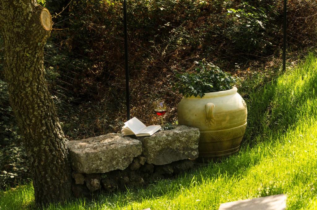 un livre assis sur un banc en pierre à côté d'un arbre dans l'établissement Villa del Gelso - Chalet nel Parco dell'Etna, à Mascali