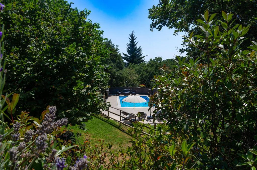 une piscine avec un parasol dans un jardin dans l'établissement Villa del Gelso - Chalet nel Parco dell'Etna, à Mascali 38 autres photos