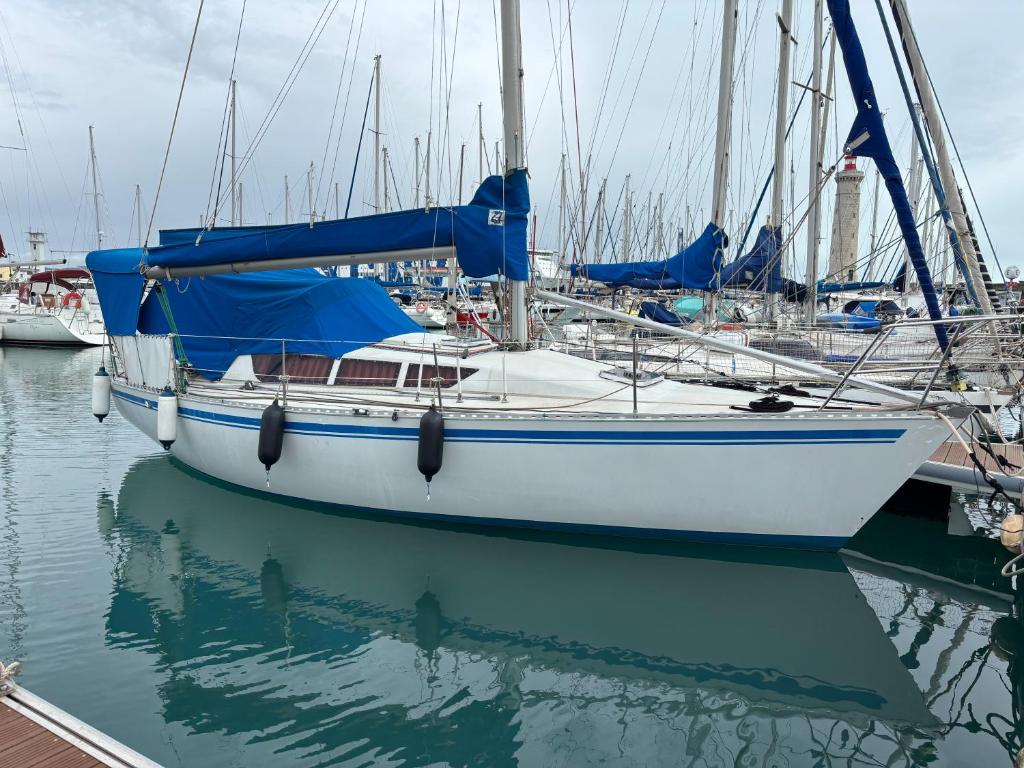 un voilier amarré dans un port avec d'autres bateaux dans l'établissement Nuitée à bord de Danilou un voilier de 9.50m, à Sète