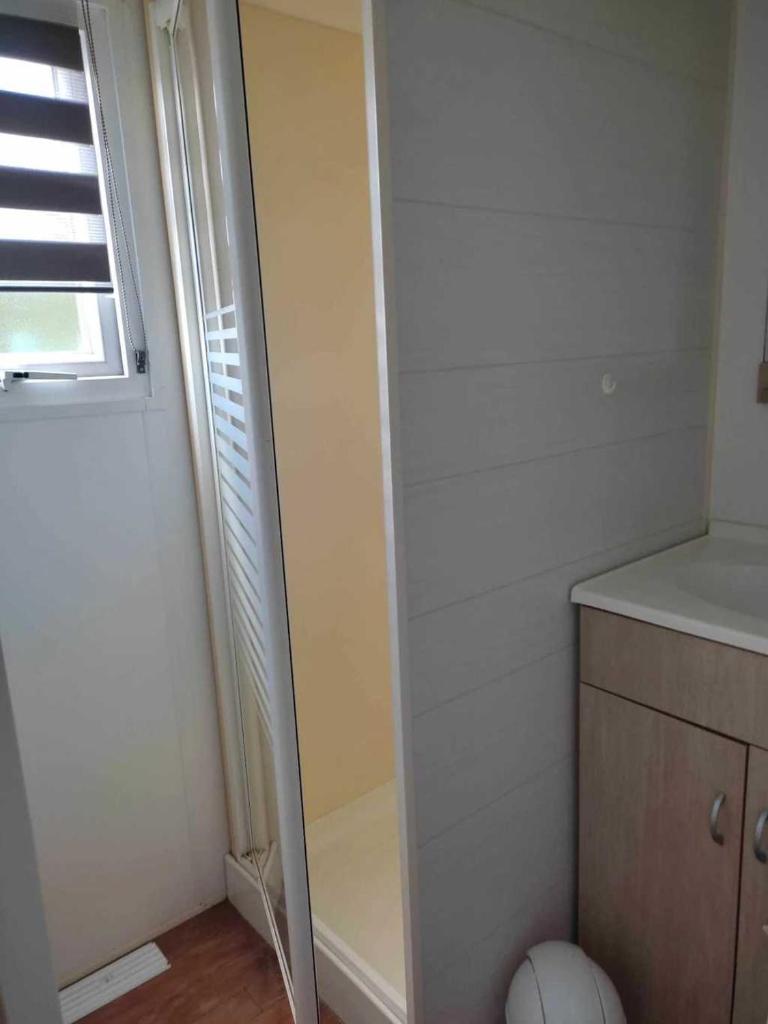une douche dans une salle de bain avec un miroir dans l'établissement Chalet 3 étoiles - Piscine - eebicc, à Massillargues-Attuech