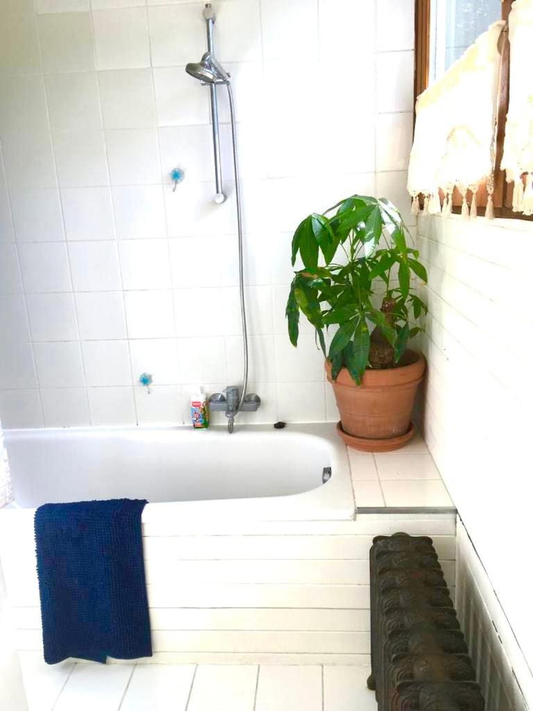 Family home, green surroundings, 10 min from Brussels 8