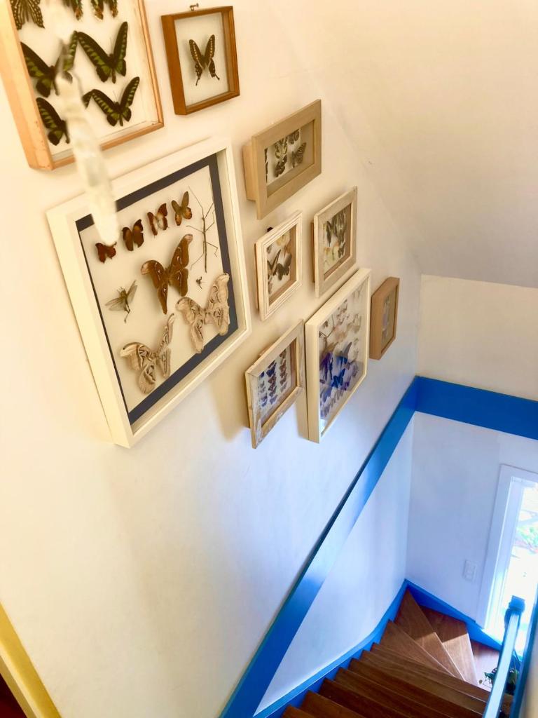 Family home, green surroundings, 10 min from Brussels 7