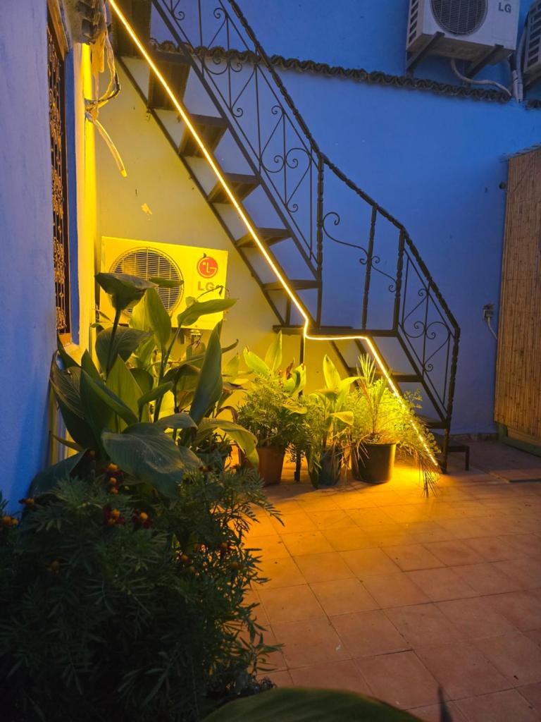 un escalier avec des plantes et des lumières dans un bâtiment dans l'établissement Riad Mounadim Fes, à Fès 30 autres photos