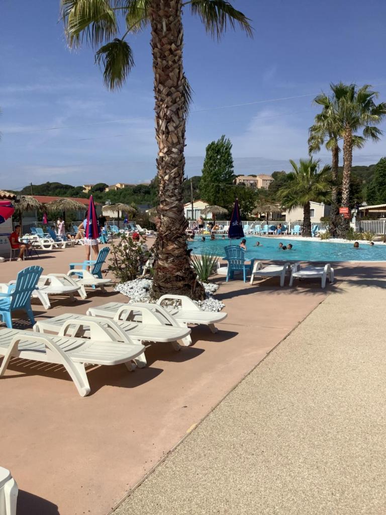 - une rangée de chaises longues et une piscine dans l'établissement Montourey 83 ES 119, à Fréjus