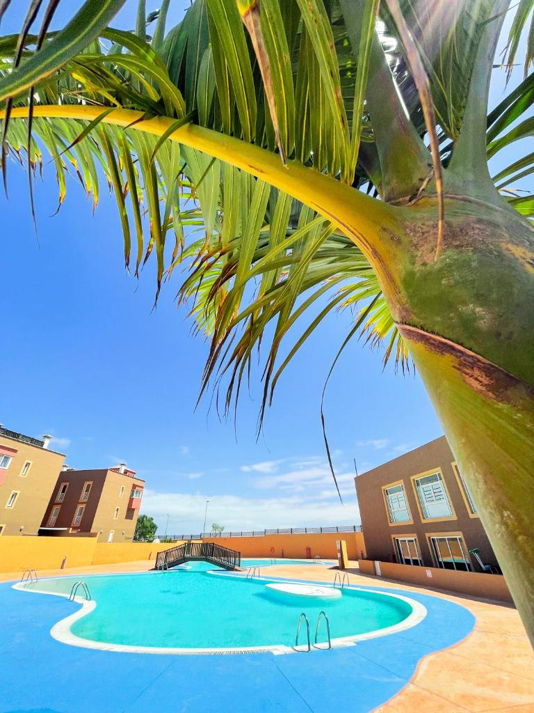Big Spacious Casa Bamboo Apartment Corralejo Relax, Pool and Parking 8