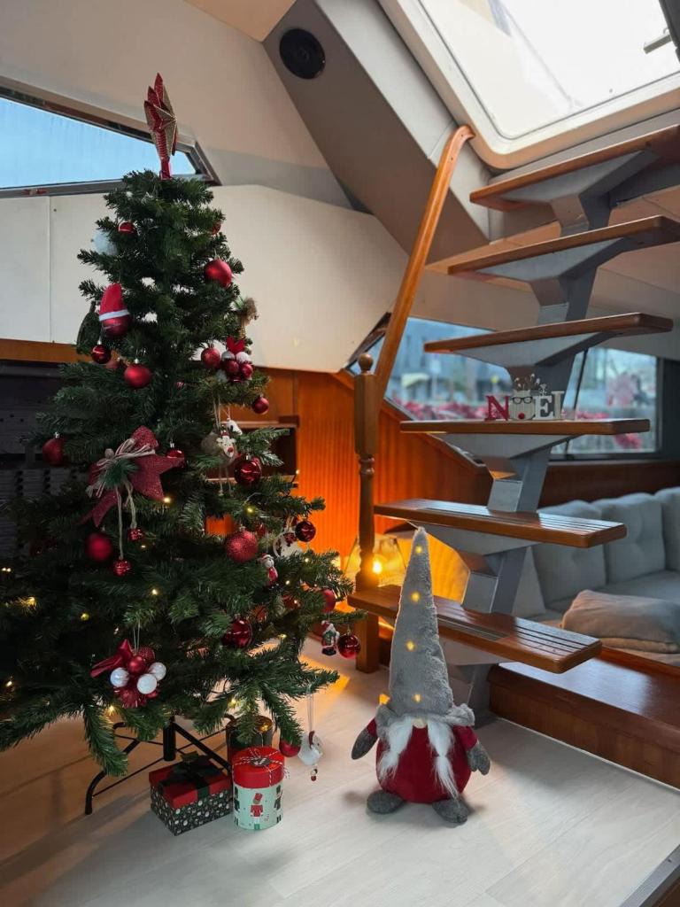 - un arbre de Noël sur une table dans le salon dans l'établissement Yacht EVASION La Rochelle - Bateau insolite, à La Rochelle