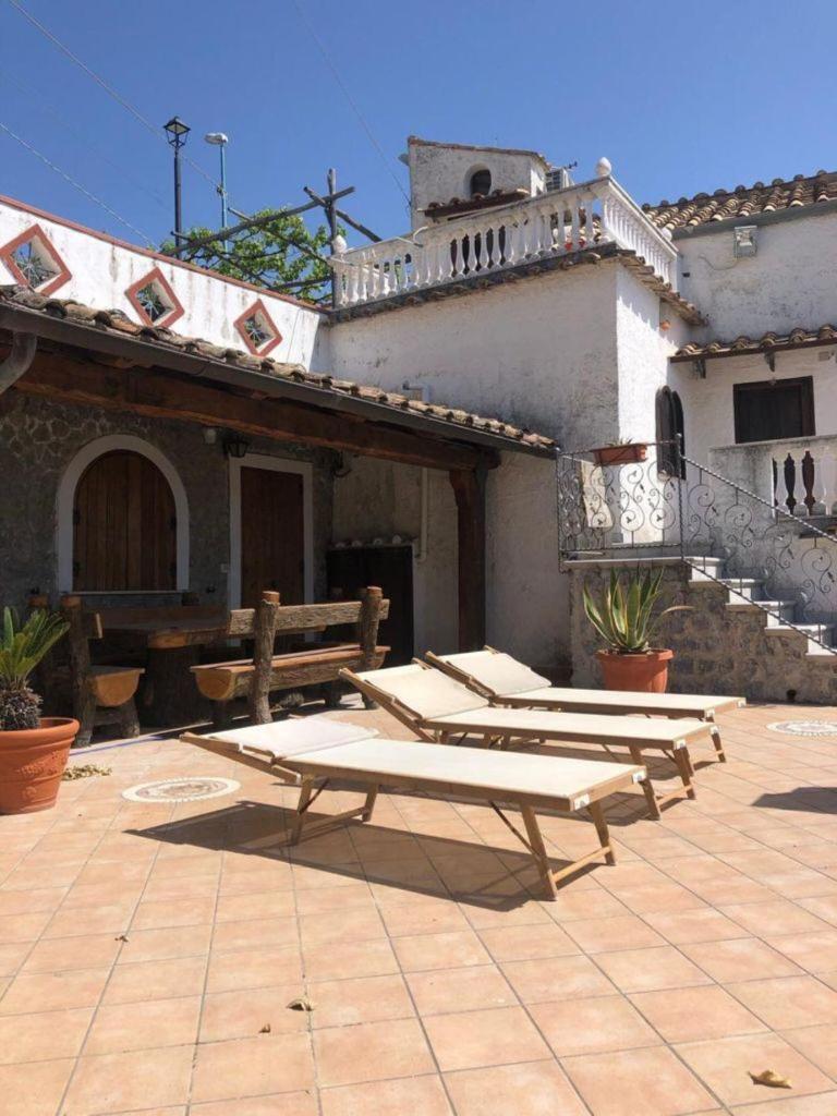 Aloe House 4