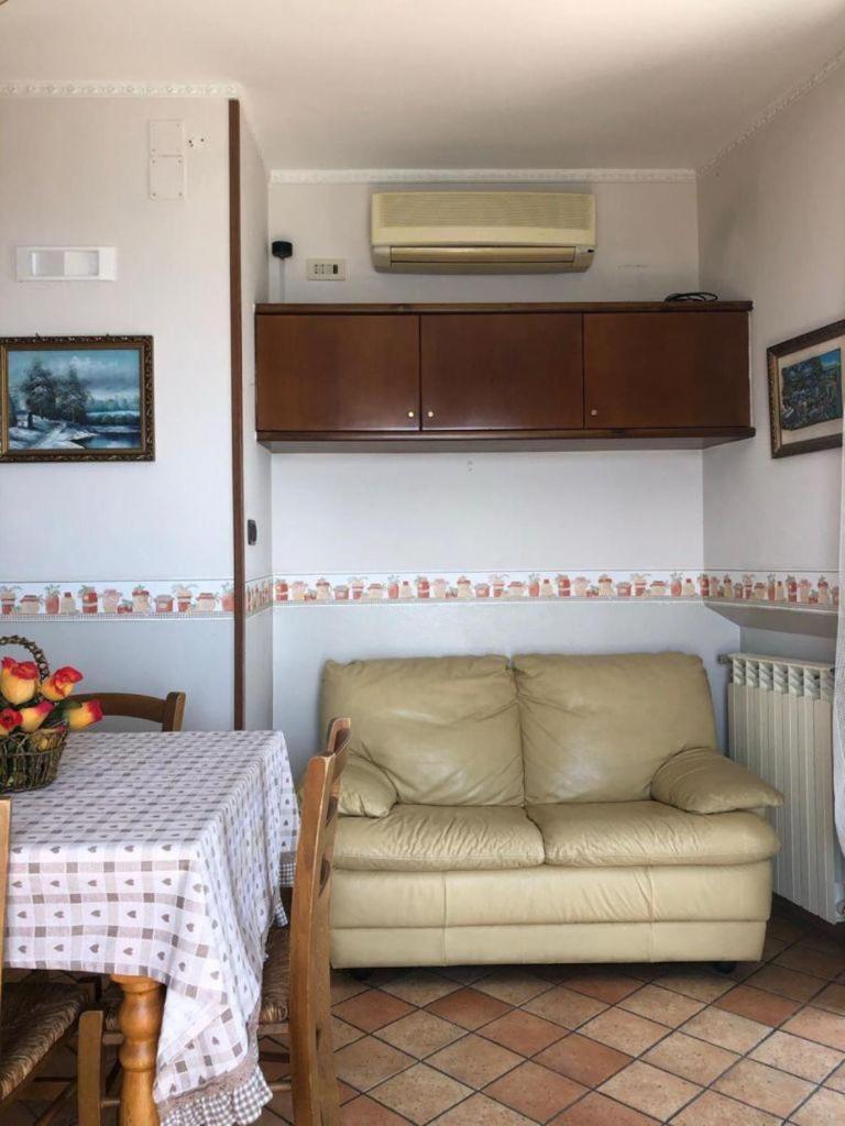 Aloe House 7