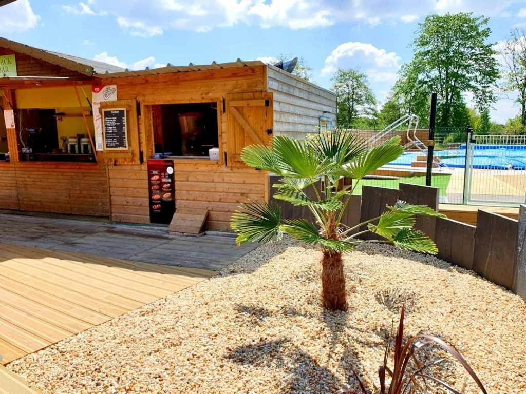 un petit bâtiment avec un palmier en face dans l'établissement Camping 3 étoiles - Piscine - ccbaice, à Loudéac