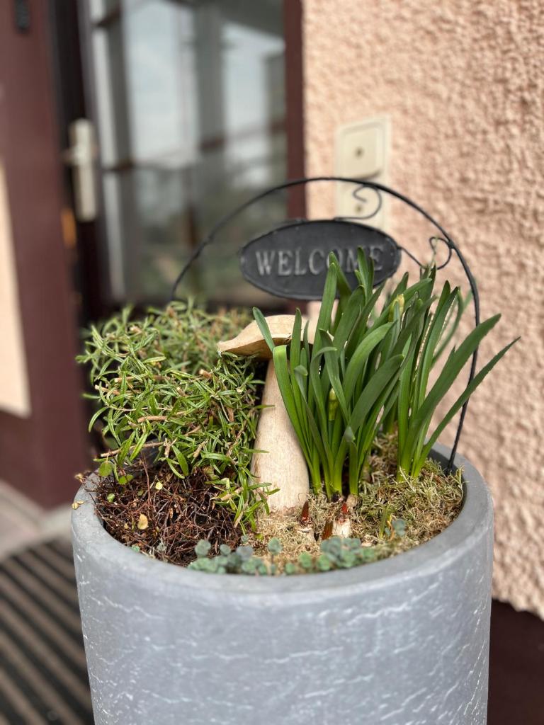Lieblingsplatz by Julia & Tom 5