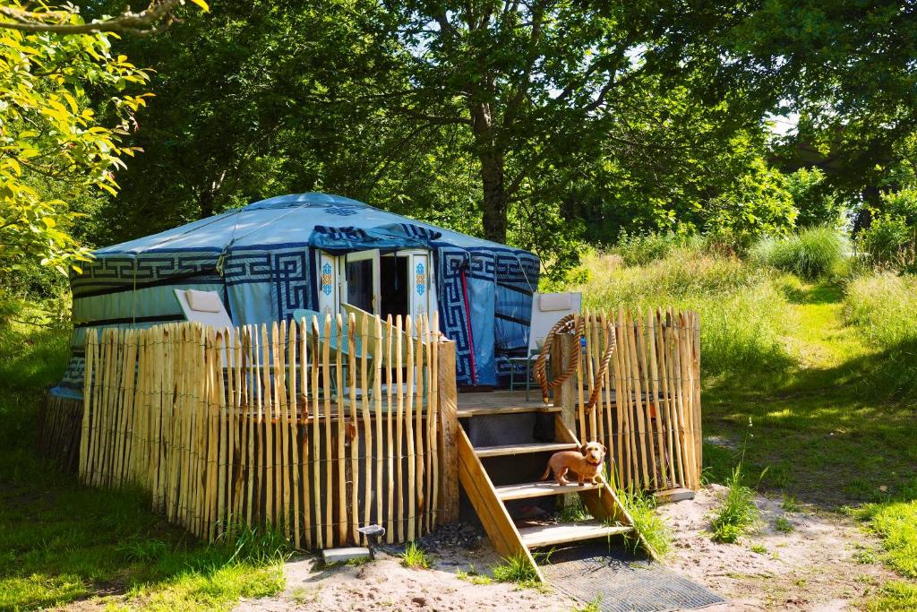une tente bleue avec un chien assis devant elle dans l'établissement YURT in beautiful nature with a lot of privacy, à Troche