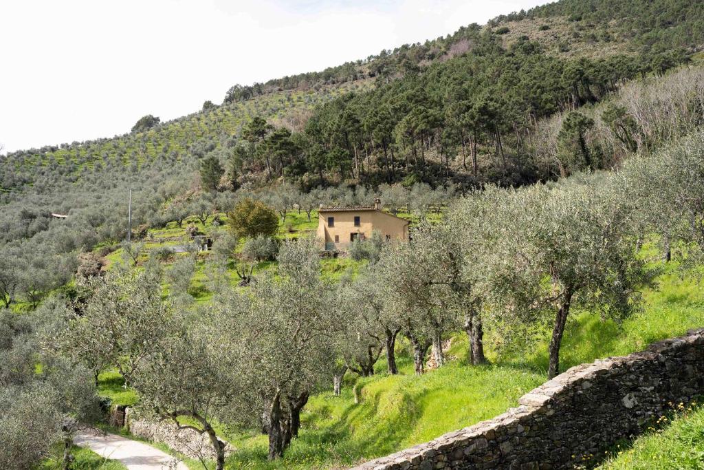 Podere del Pari 4