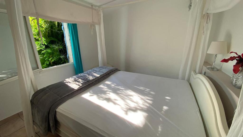 ZEN et COSY, CALME ABSOLU parking privé jardin,ideal proche de Cannes 6