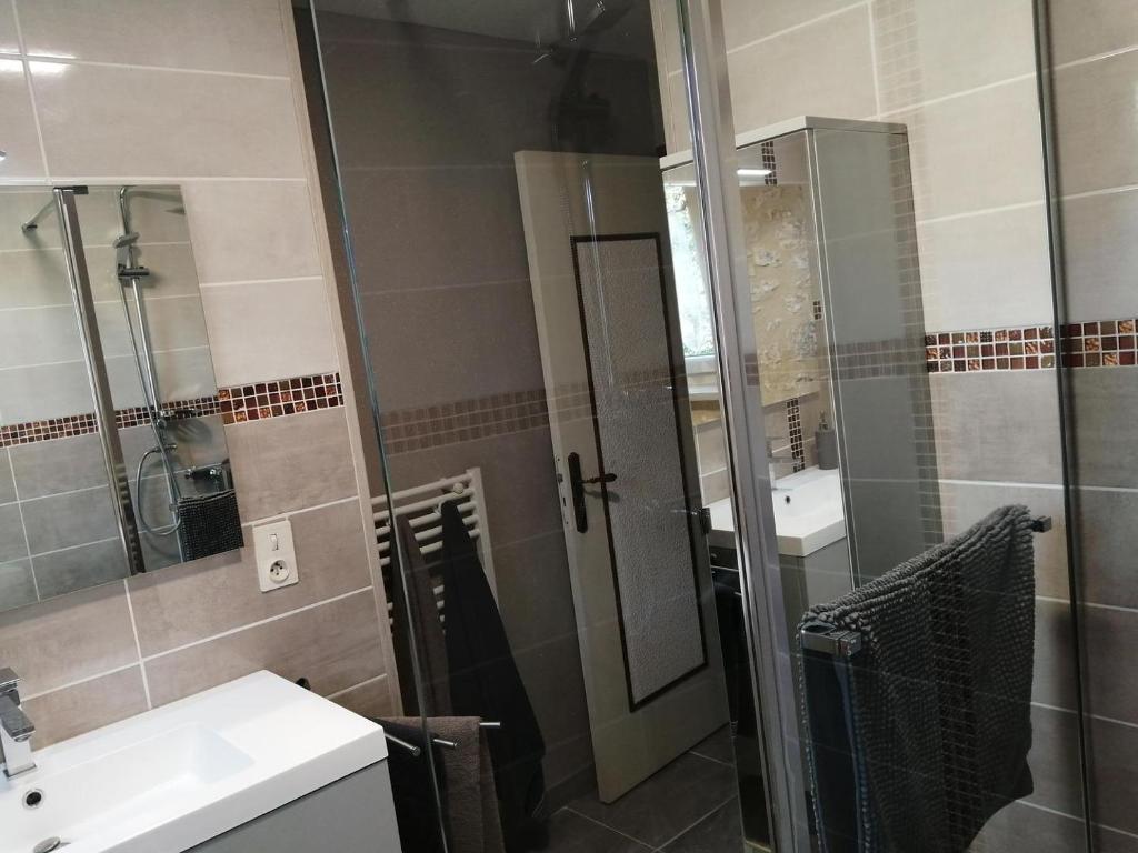 une salle de bain avec une douche, un lavabo et un miroir dans l'établissement Canterane, un coin de paradis à la campagne, à Salignac Eyvigues 9 autres photos