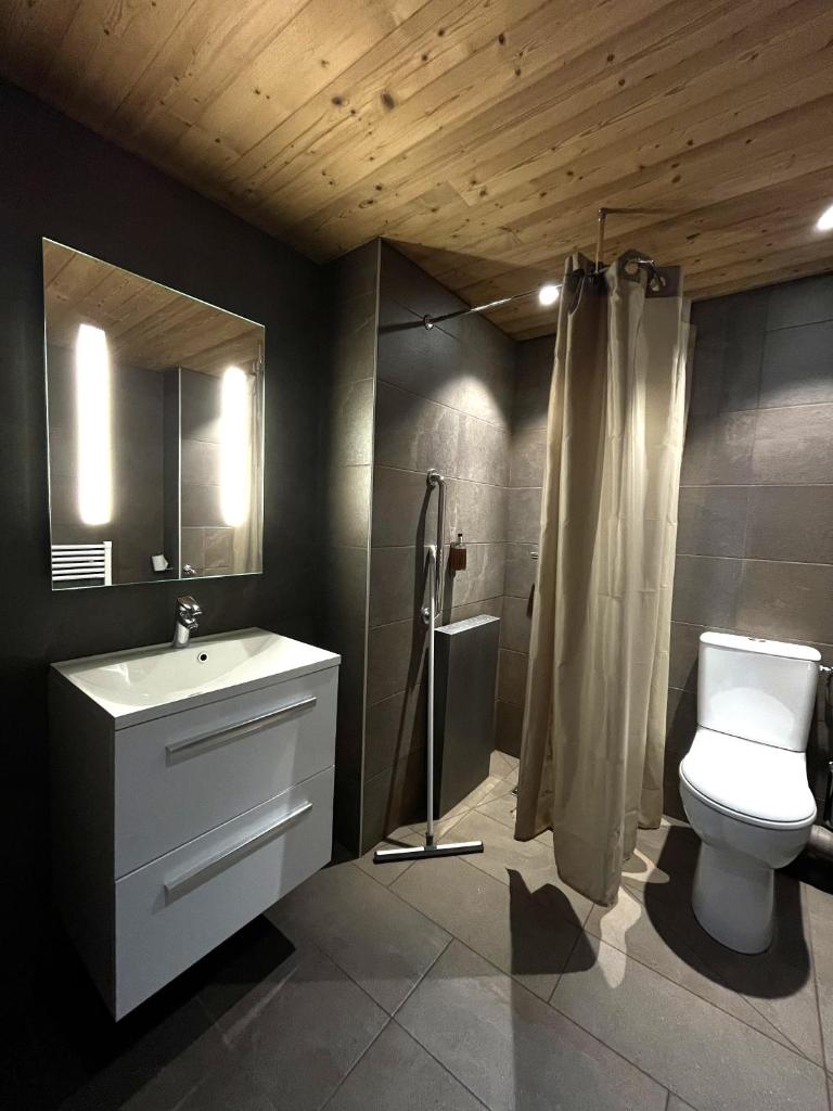 une salle de bain avec toilettes, lavabo et douche dans l'établissement Hillary Hotel, aux Menuires 37 autres photos