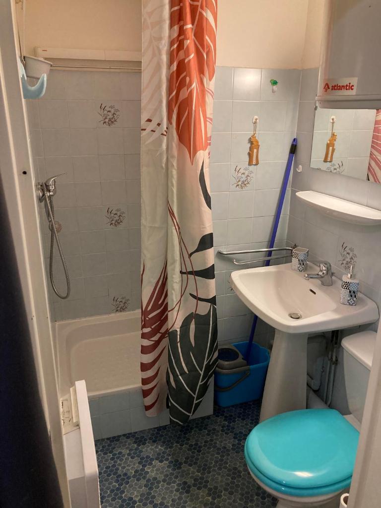 une salle de bain avec un lavabo et un rideau de douche dans l'établissement STUDIO 4 COUCHAGES A St JEAN-MONTCLAR ÉTÉ/HIVER, à Montclar