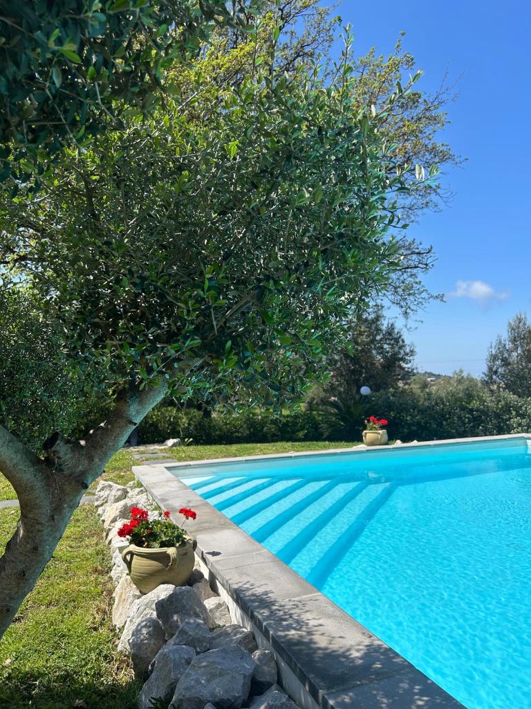 - une piscine avec un arbre et quelques fleurs dans l'établissement Villa Grazia, à SantʼAgata di Militello