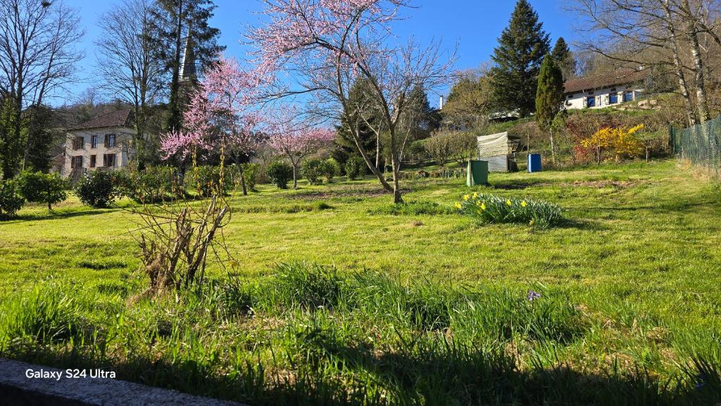 un champ d'herbe verte avec une maison en arrière-plan dans l'établissement Au refuge du Bonheur, à Provenchères-sur-Fave