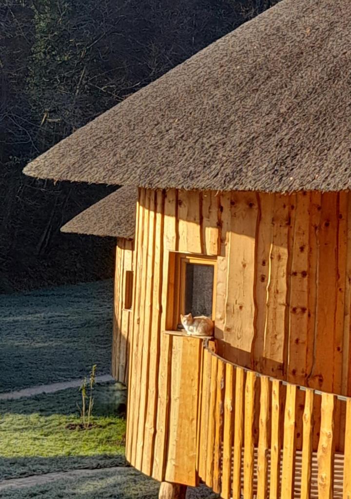 Glamping Bionic healing village 4