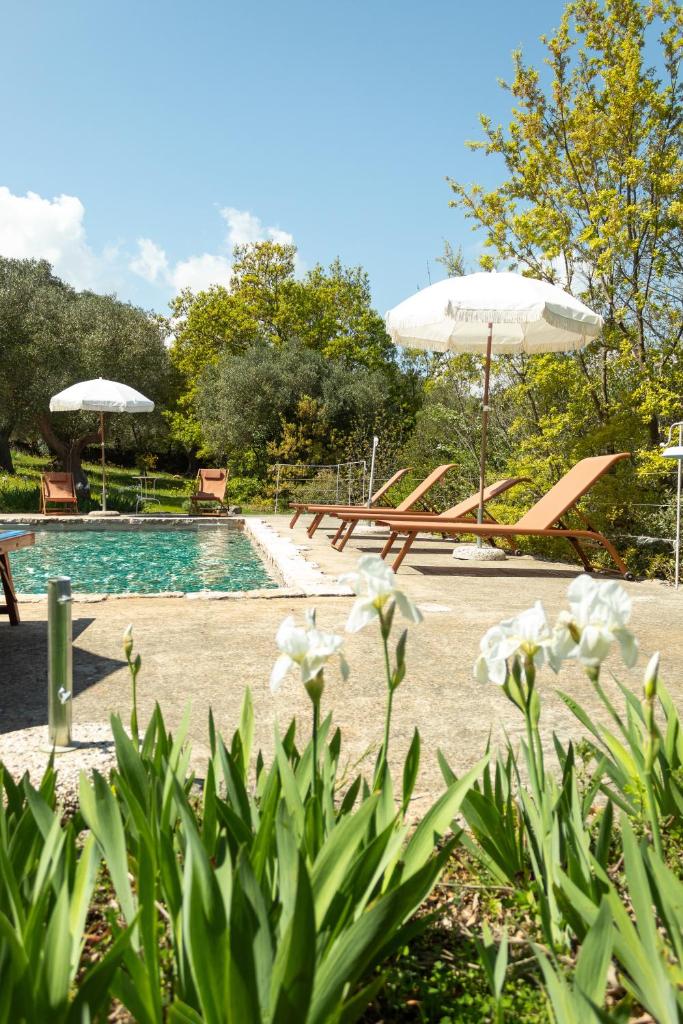- une piscine avec des bancs, un parasol et quelques fleurs dans l'établissement Accademia degli Inquieti - Casina Gargiulo, à Ceglie Messapica