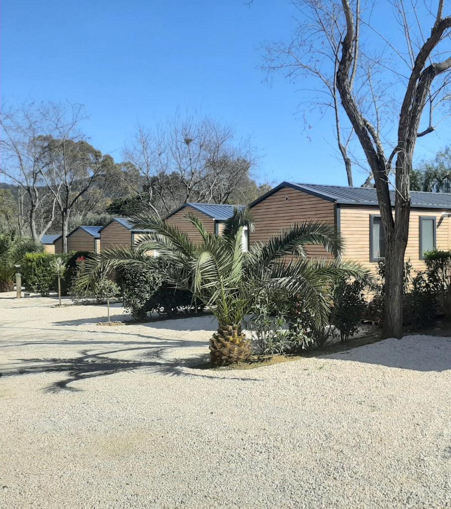 un palmier devant une maison dans l'établissement Eco-Lodge Lou Pantaï, au Pradet