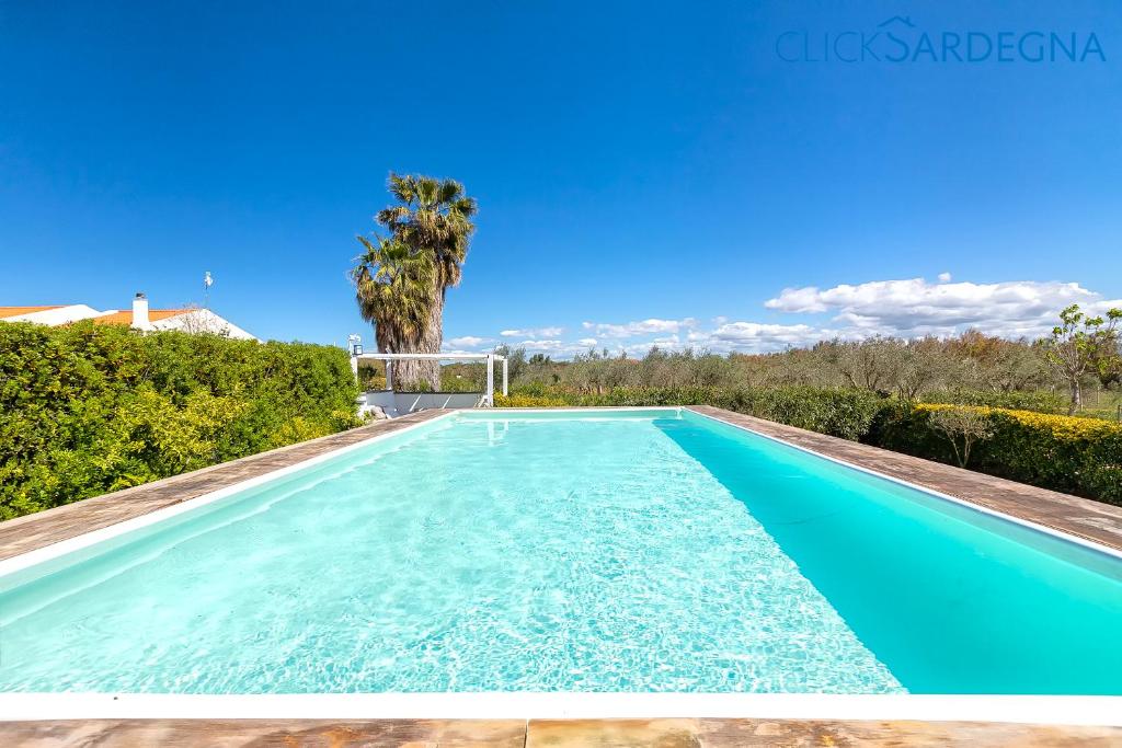 une piscine bleue avec un palmier en arrière-plan dans l'établissement ClickSardegna Villa dei Limoni with pool close to the beach, à Fertilia