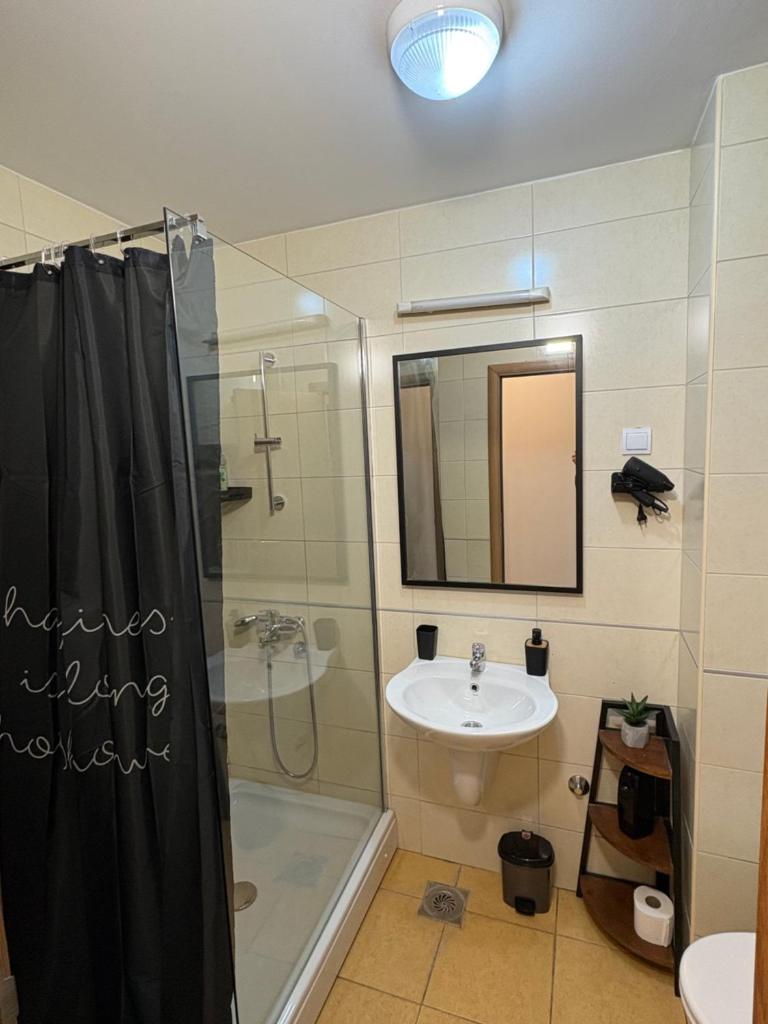 Apartment Podgorica 8