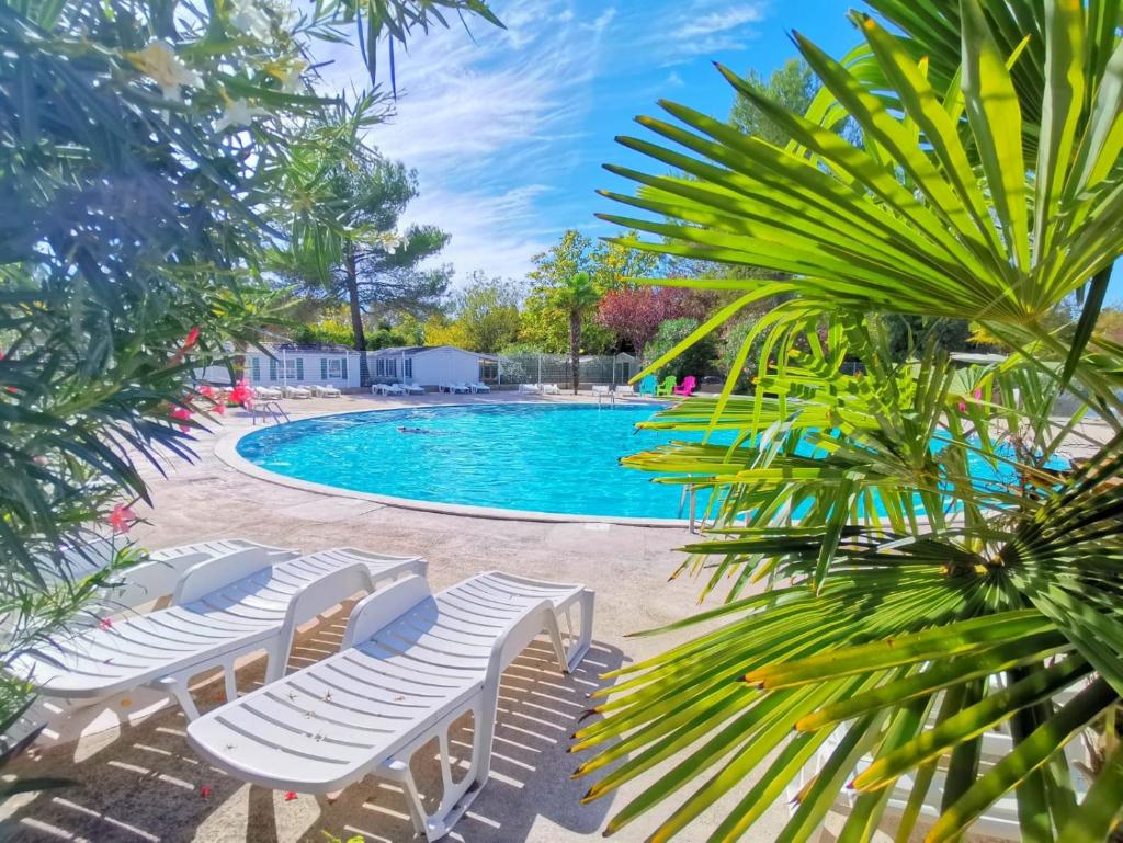 - une piscine avec des chaises longues et un palmier dans l'établissement Mobilhome dans camping 3 étoiles en Provence, à La Roque-dʼAnthéron