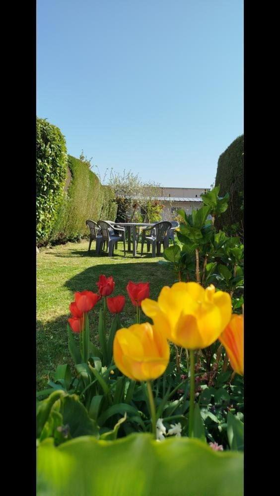La maison de Ja 8