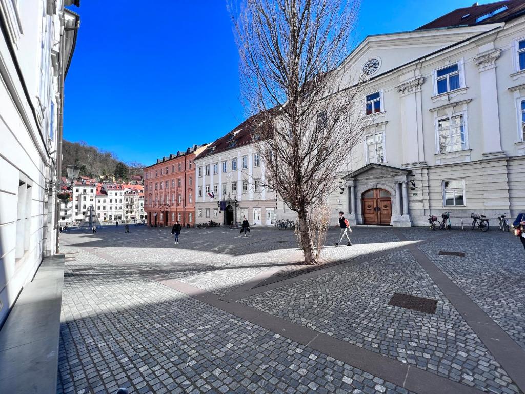 Modern studio apartment in the heart of old city 6