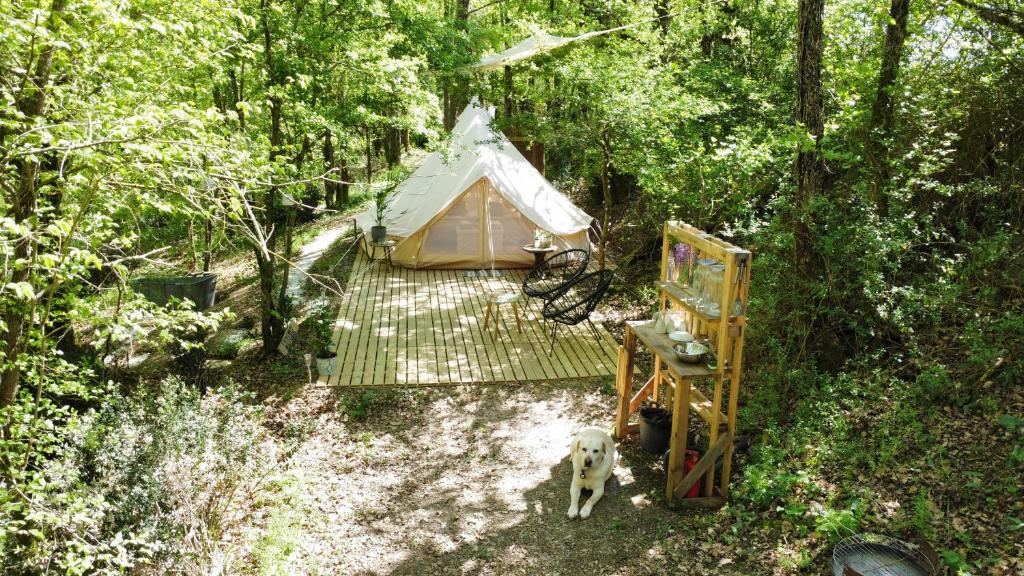 un chien se tient devant une tente dans l'établissement Wild Lodge, à Lasséran