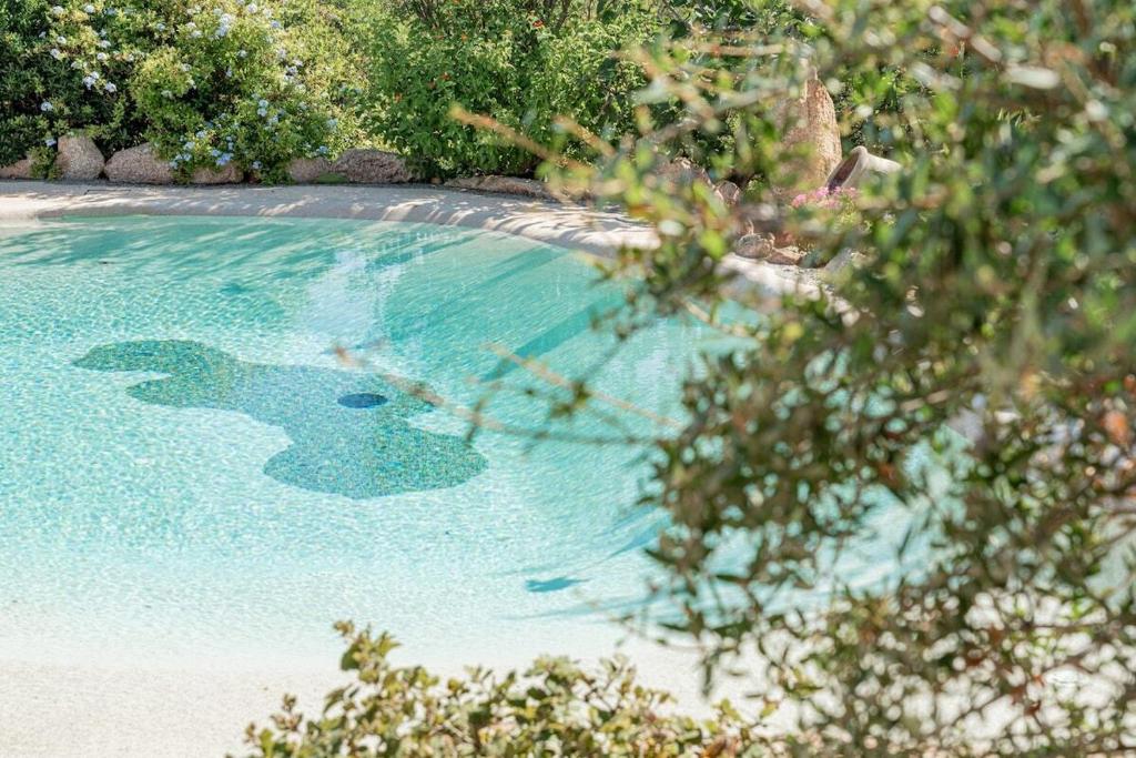 un bassin d'eau bleue avec une tortue dans l'établissement Villa Ninfea - sea view and relax, à Porto Taverna