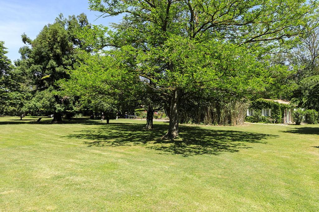 un arbre au milieu d'un champ vert dans l'établissement Les Gîtes du Domaine de Rhodes, à Avignon