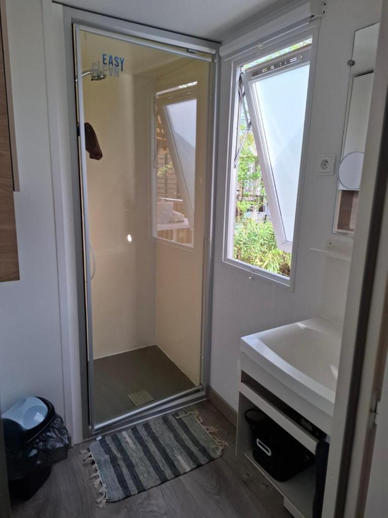 une salle de bain avec douche et lavabo dans l'établissement Le lac des reves, à Lattes
