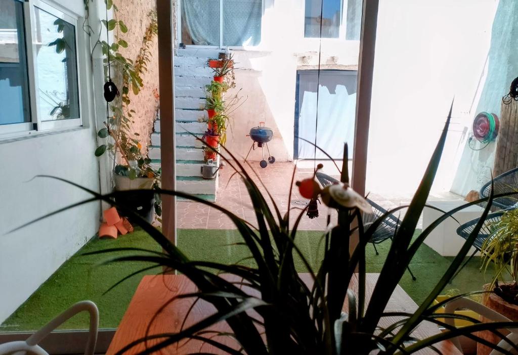 Ca la Rosa 8
