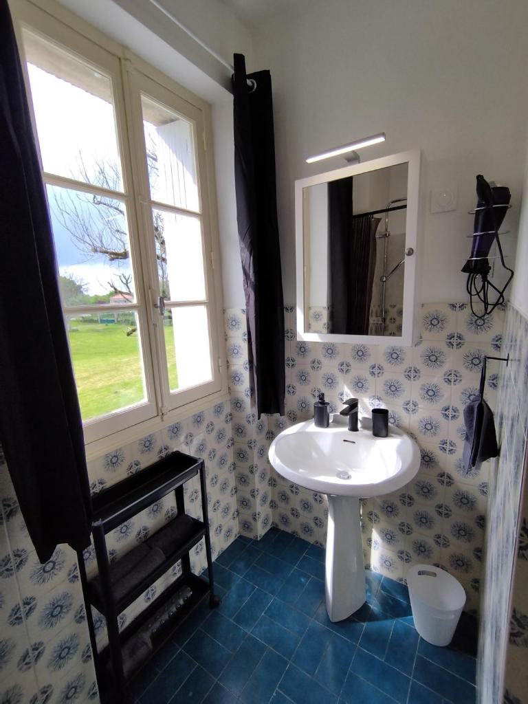 une salle de bain avec un lavabo et une fenêtre dans l'établissement Nouzet gites et lits, à Eyzerac 37 autres photos