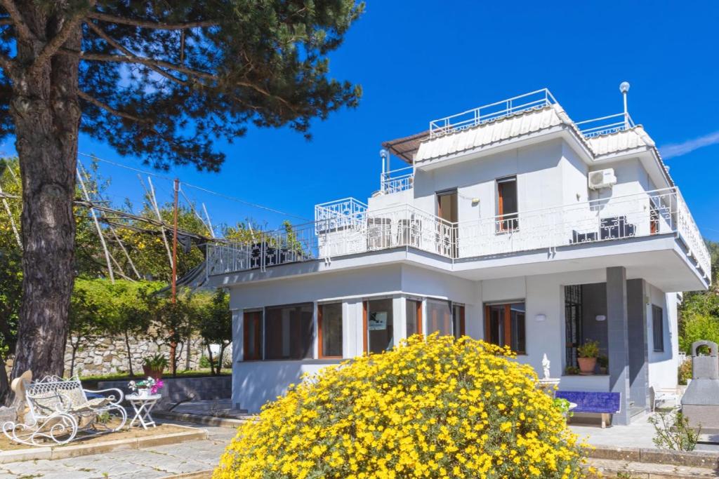 une maison blanche avec un arbre et des fleurs jaunes dans l'établissement Estate4home - Villa Louise, à Sorrente