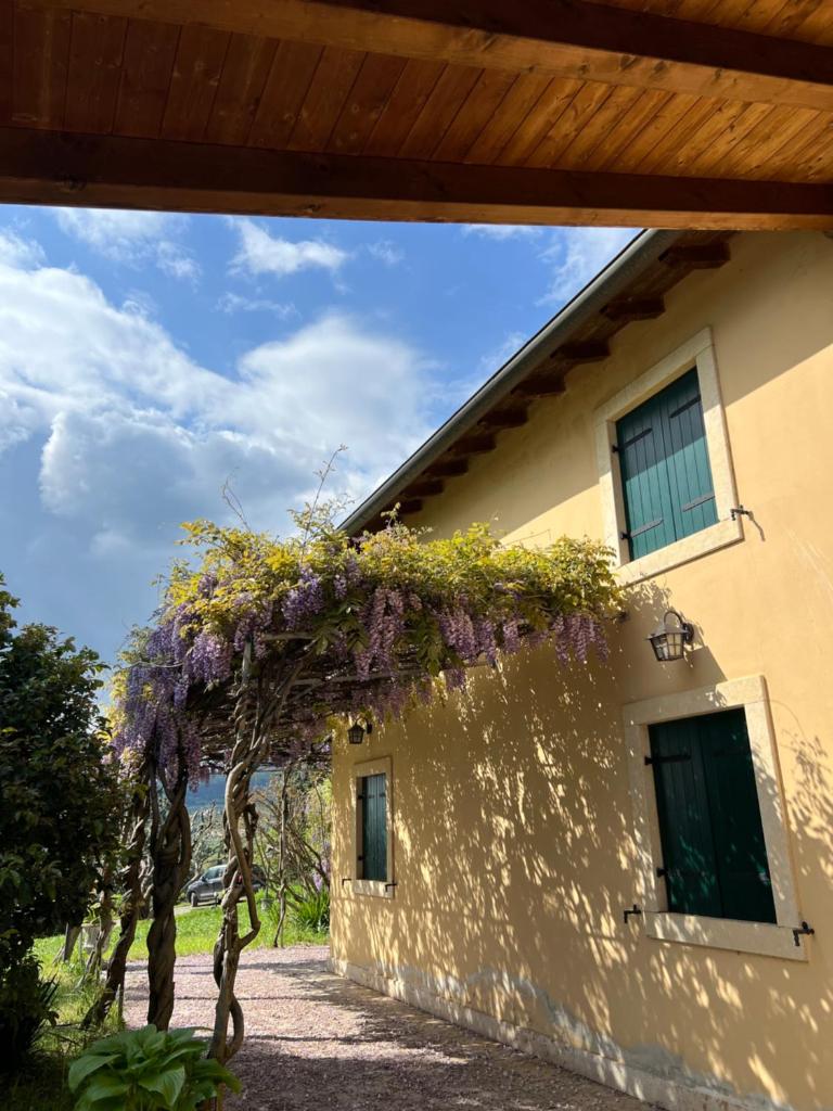 Villa in Valpolicella 2