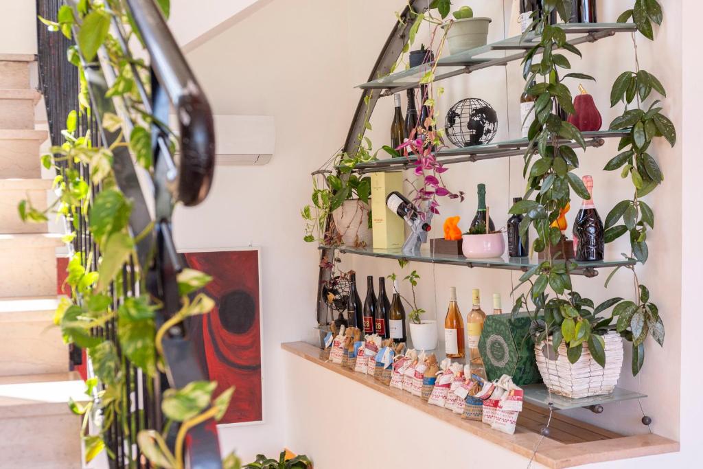 un mur avec des étagères, des plantes et des bouteilles de vin dans l'établissement Hotel A Casa Nostra, à Rimini 92 autres photos