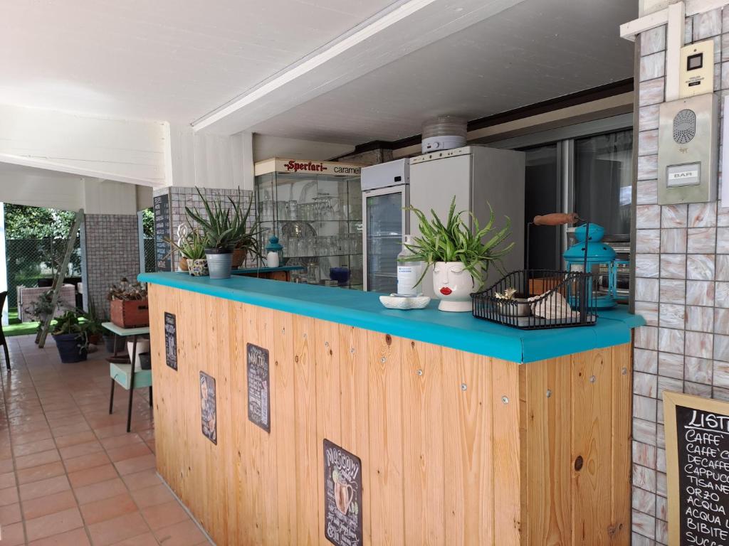 un restaurant avec un comptoir bleu orné de plantes dans l'établissement Hotel Sogno, à Cesenatico