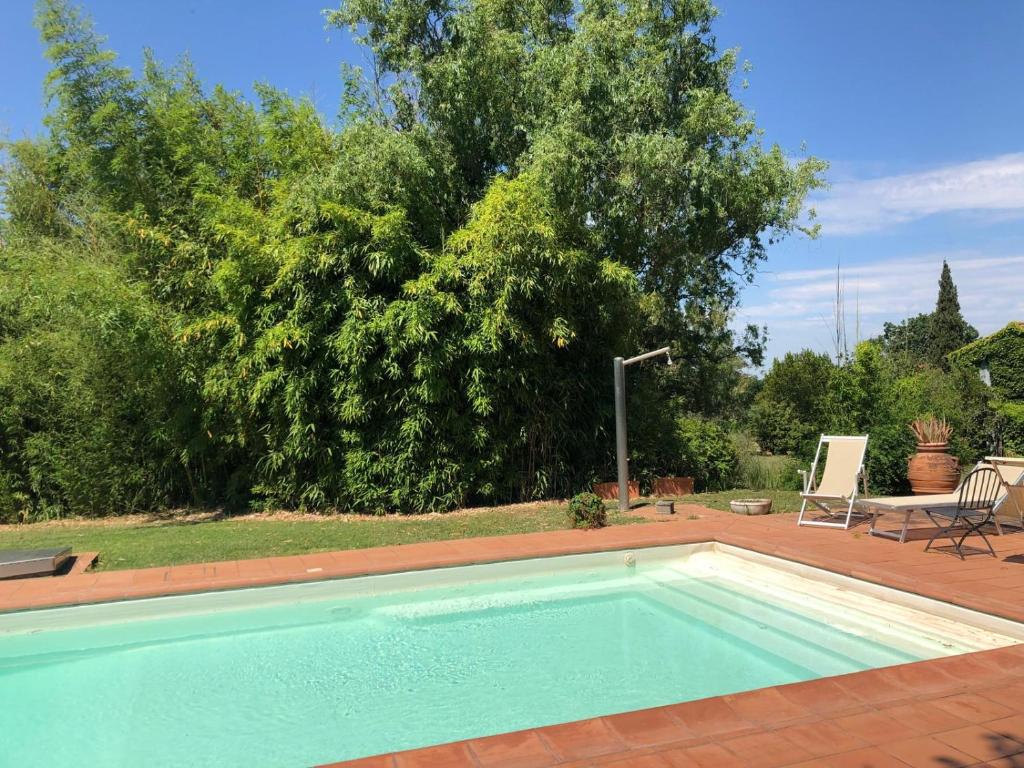 - une piscine dans une cour avec un arbre dans l'établissement Villa Elena Tuscany - Pool & Garden Arezzo - IHH, à Vitiano