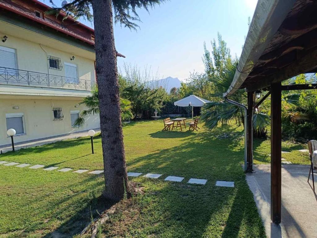 SPIROS APARTMENTS 6