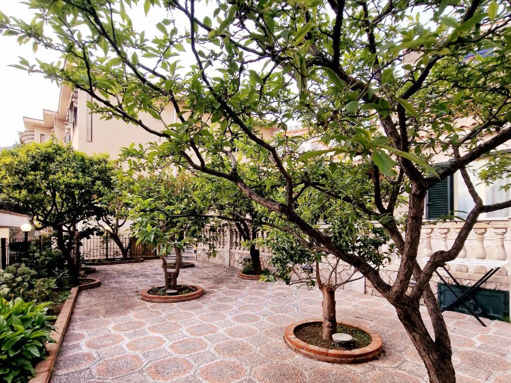 Donna Rosa - Your Home in Taormina 8