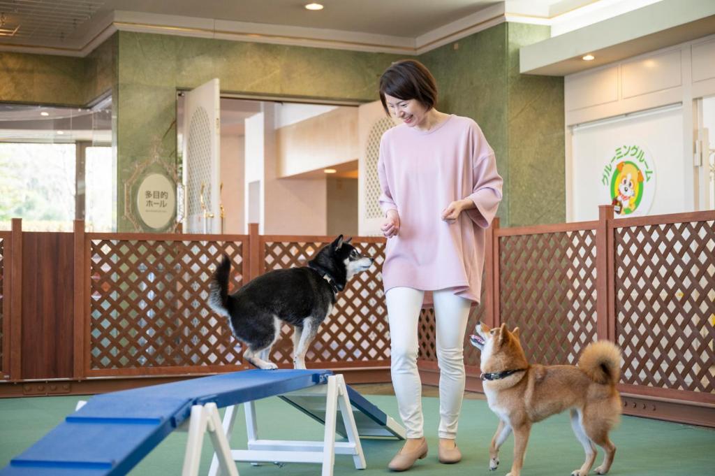 une femme debout à côté de deux chiens sur un trampoline dans l'établissement Izumigo Lake Hamana Dog Paradise Hotel, à Hamamatsu 41 autres photos