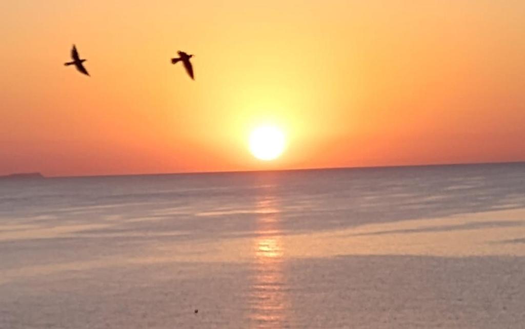 Finikoudes Sunrise Sea View Lux 6