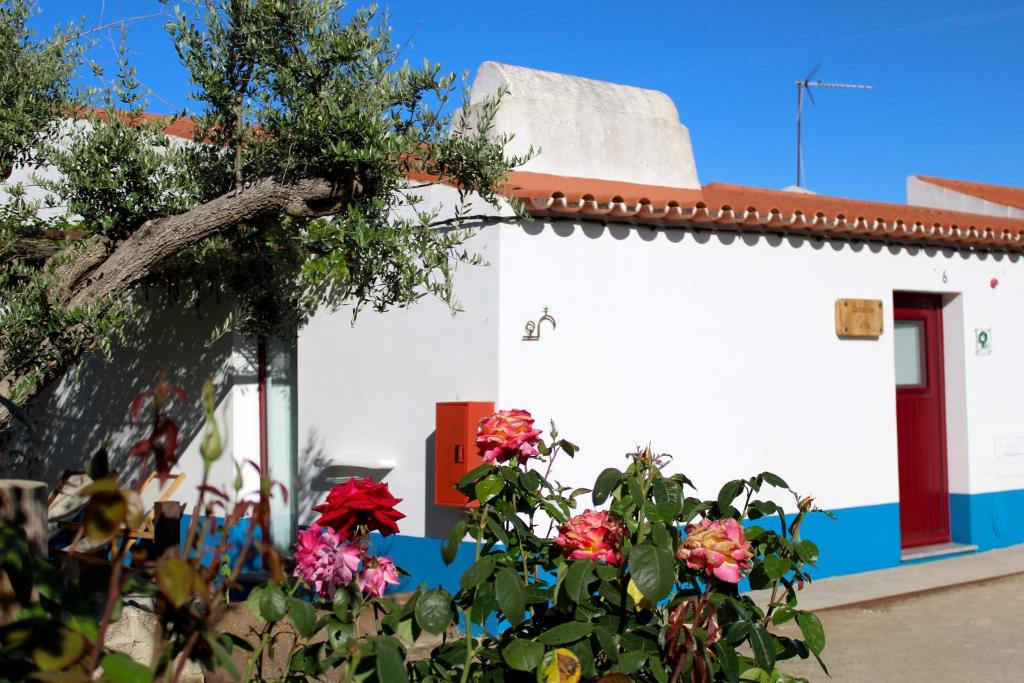 São Brás do Regedouro - Turismo na Aldeia 7