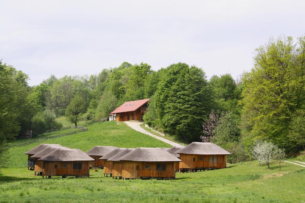 Glamping Bionic healing village 2