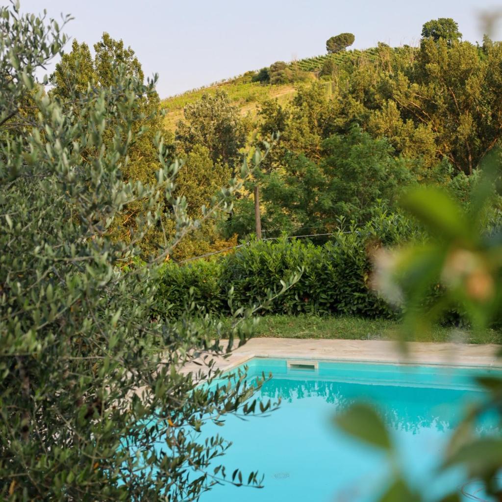 Borgo le Balze 4
