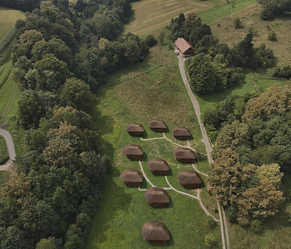 Glamping Bionic healing village 7